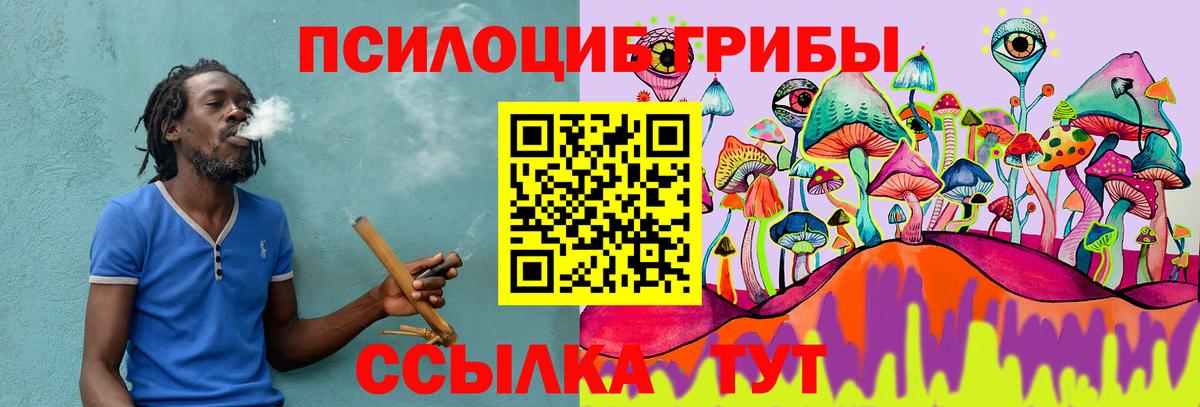Галлюциногенные грибы Psilocybine cubensis  Вход с VPN  Усть-Джегута 